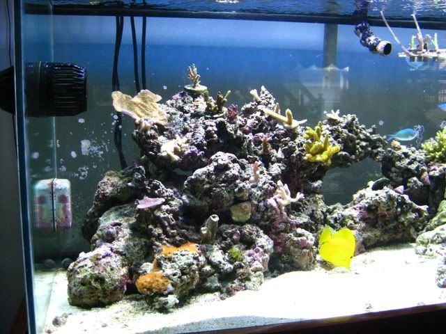 IMG_0474.jpg