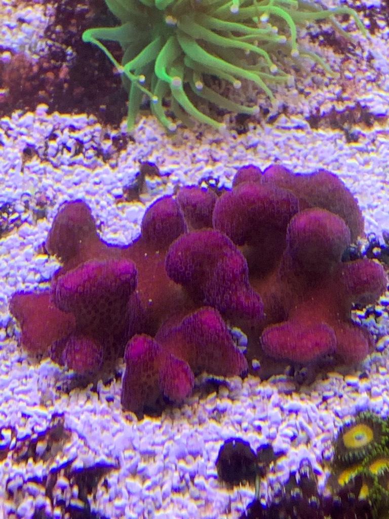 7091dfdb3ec536fedff638c9f66bc9f0.jpg