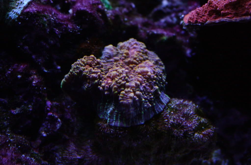 IMG_8921.jpg