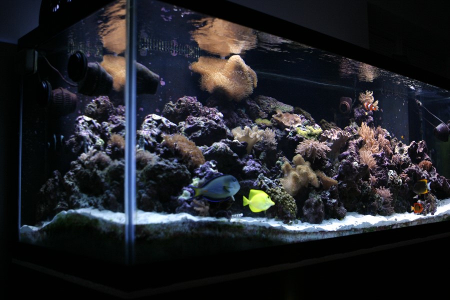 180g-002.jpg