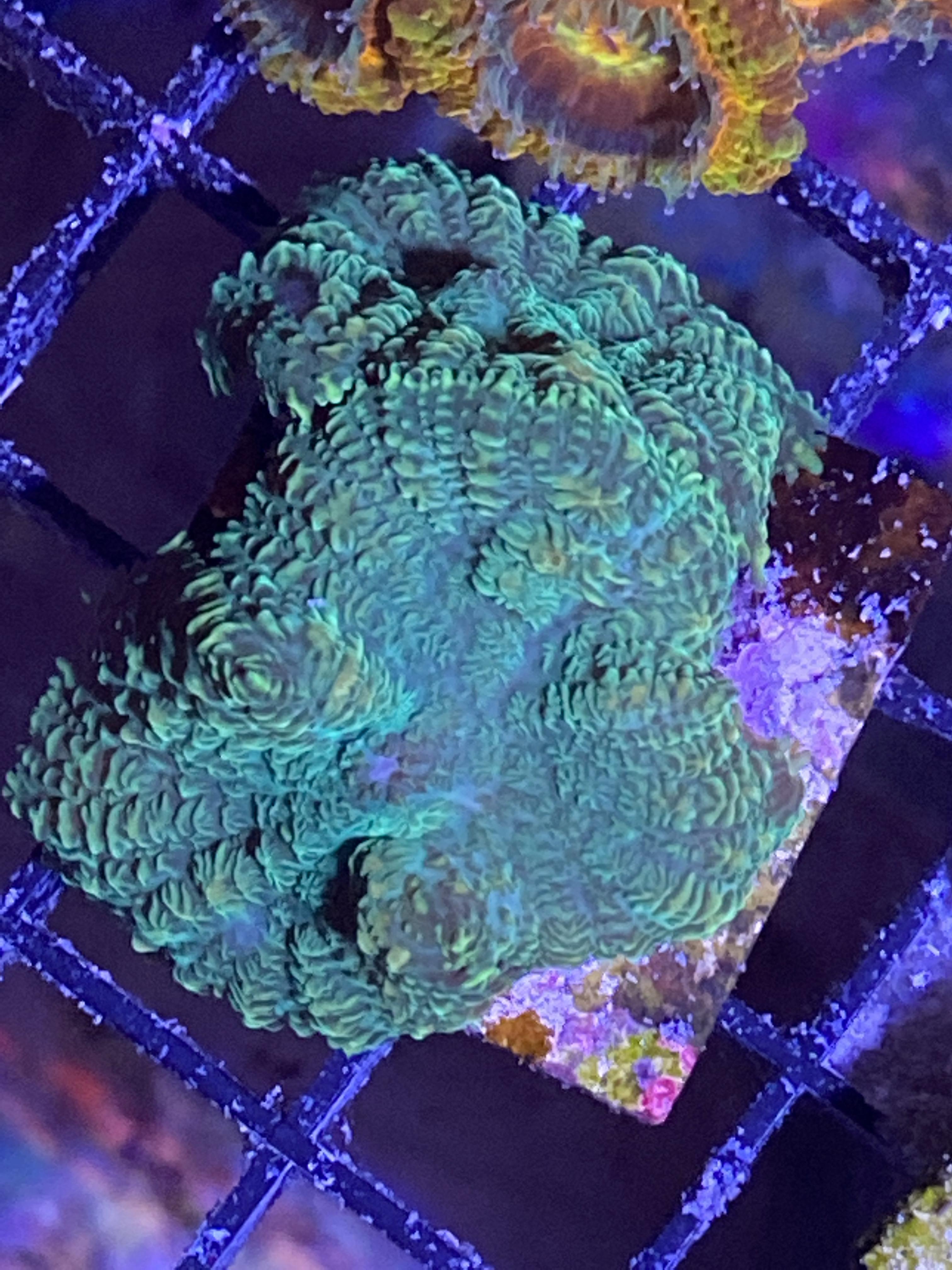 70377308701e23361bafb258861950f4.jpg