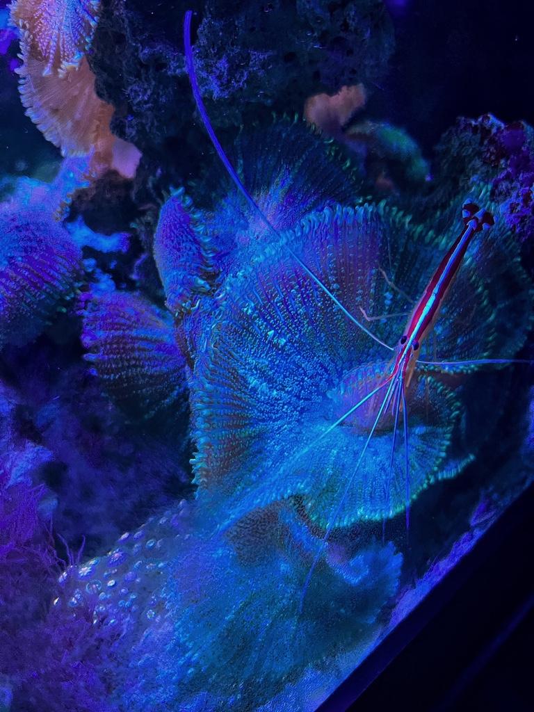 3b26a3c890622cd2720d89dacbc49e49.jpg