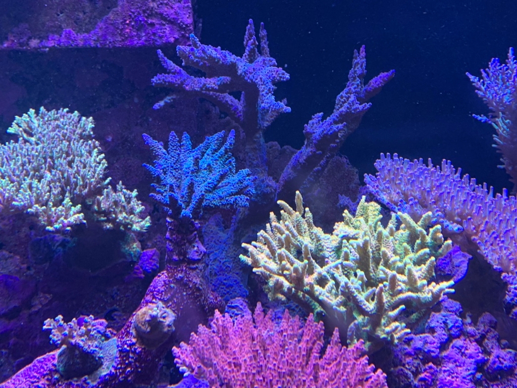 ece58f3315b18469e6ea279158382e79.jpg
