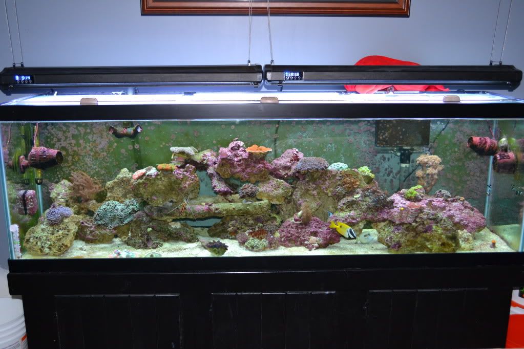 DSC_0001-1.jpg
