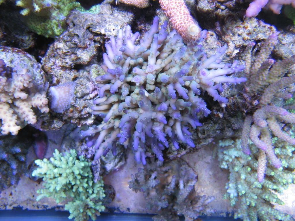 IMG_0866.jpg