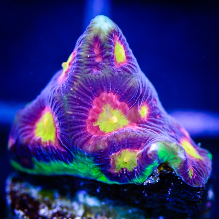 a9pkD8h.jpg