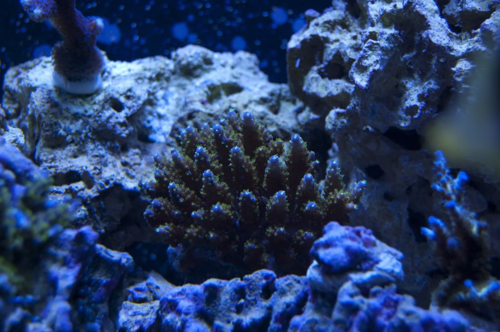 DSC_0062.jpg