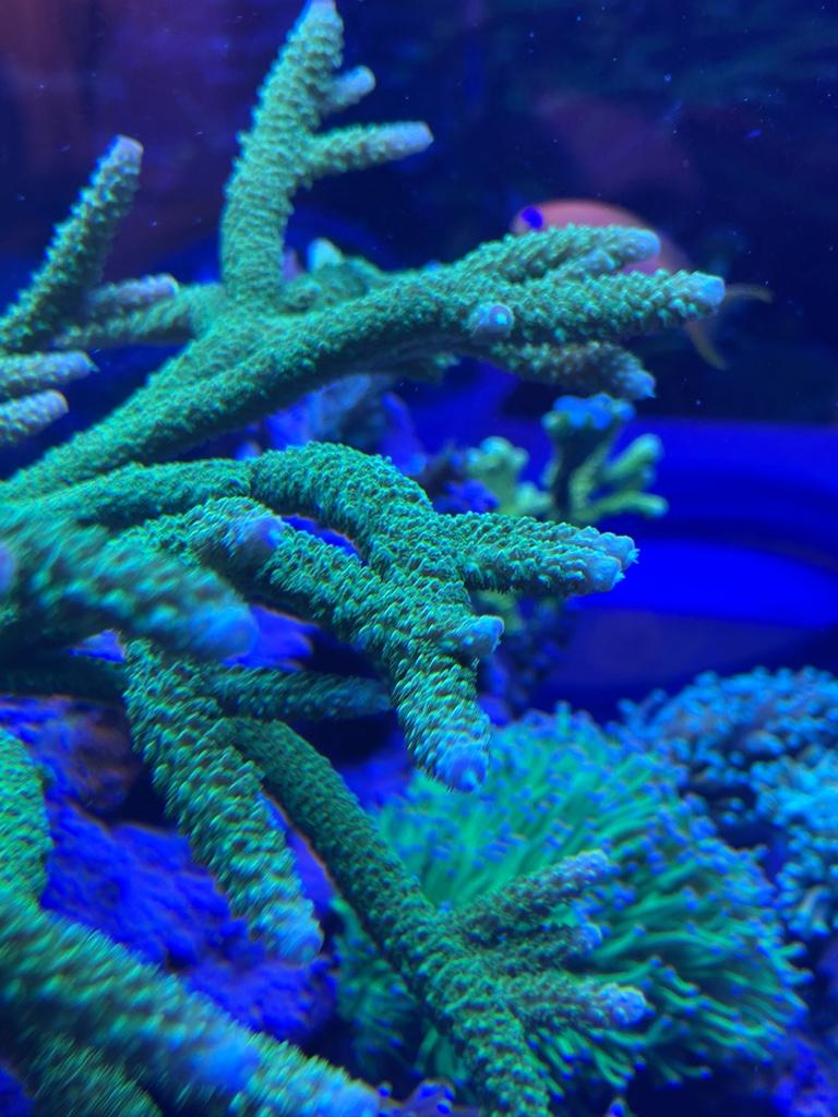 f140b9f388e755035f20e199ead36f50.jpg