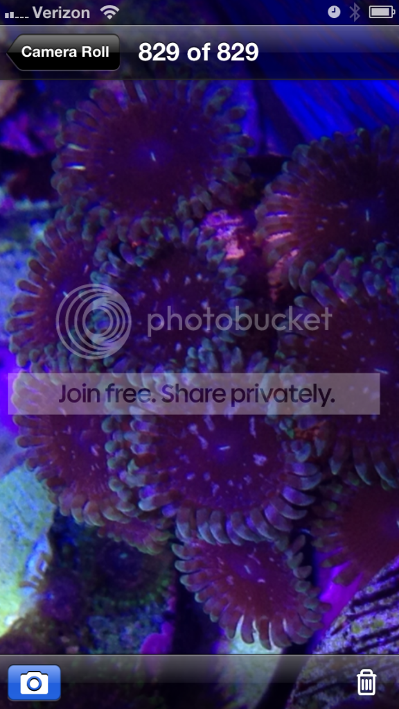 null_zpsf3e9e755.png