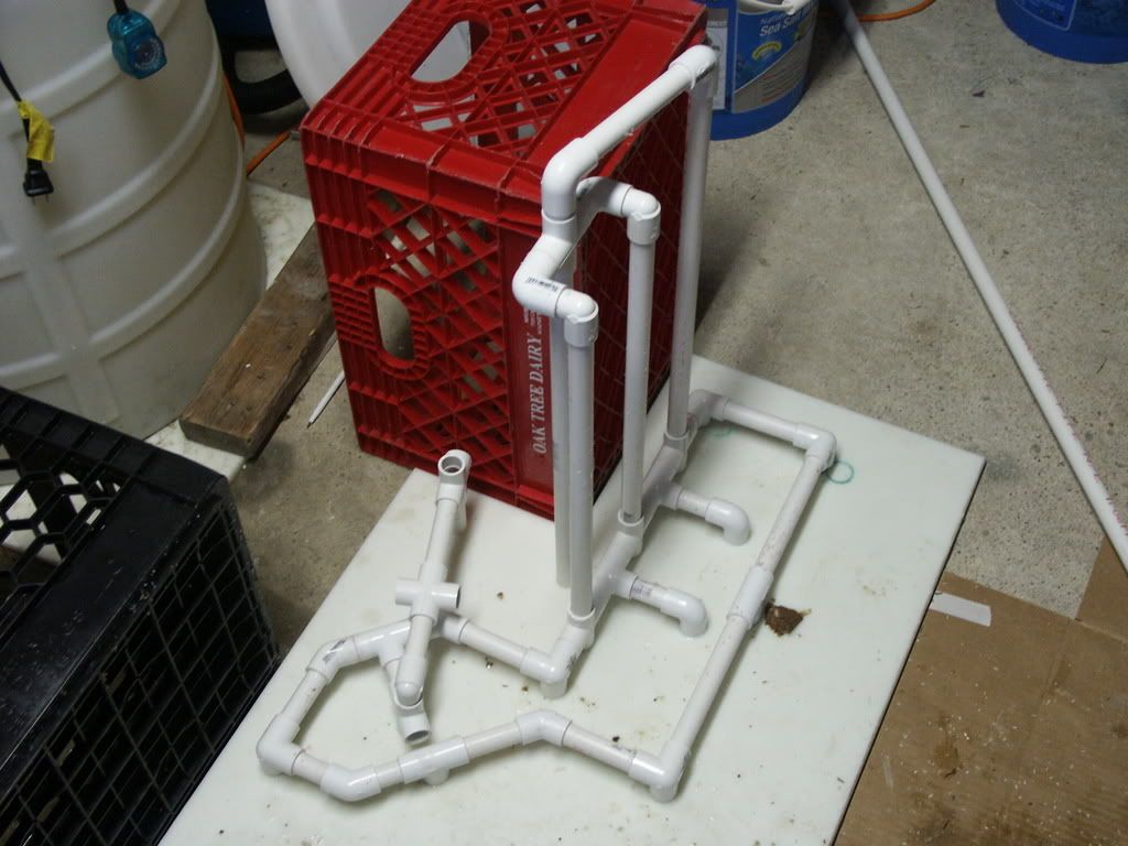 PICT0221.jpg