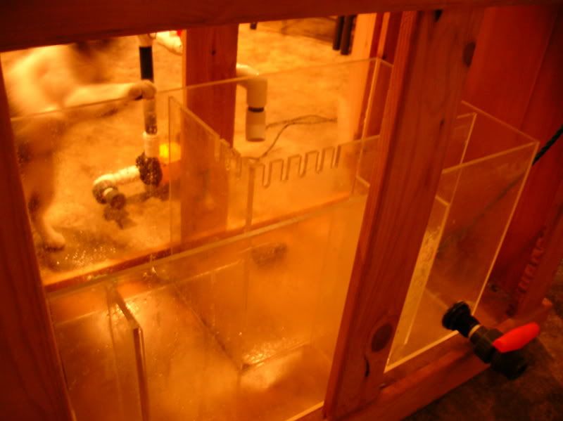 DSCN4299.jpg