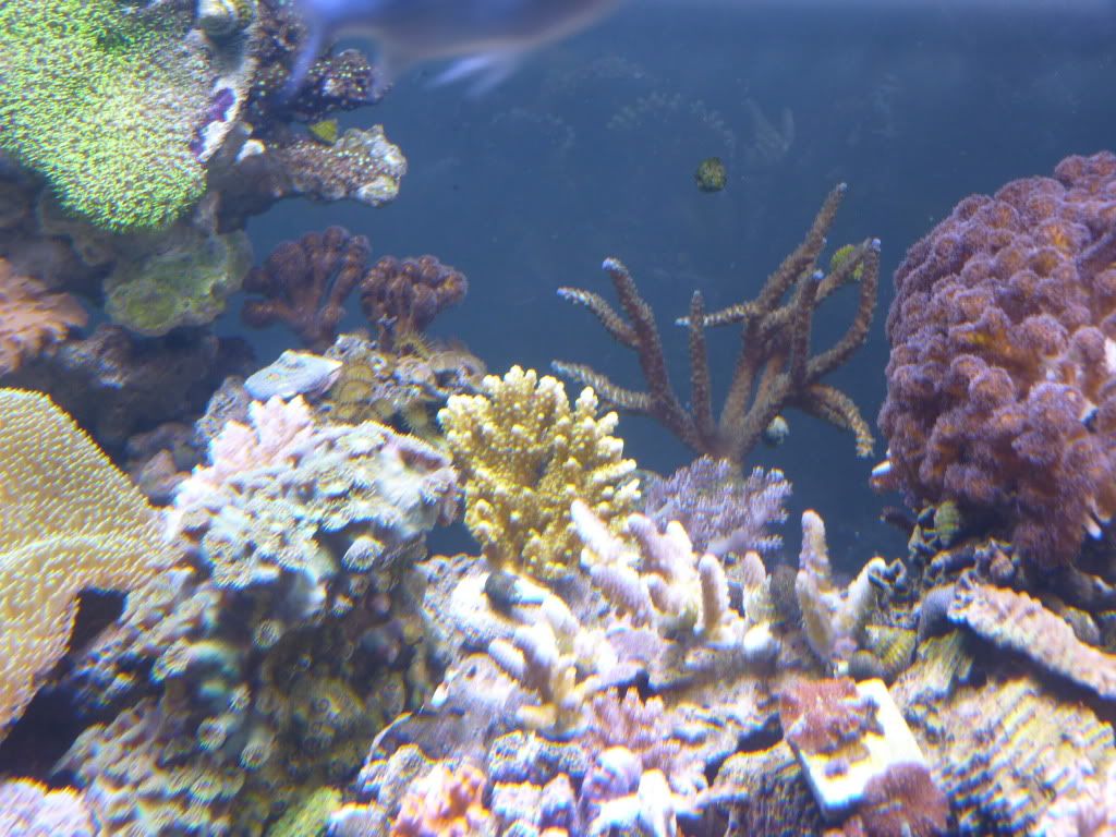 P1070426.jpg