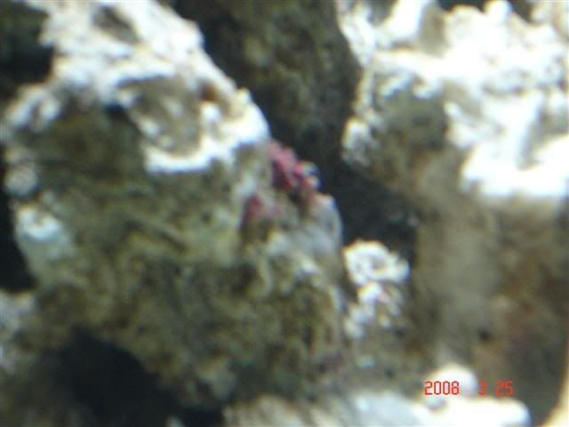 DSC01751Small.jpg