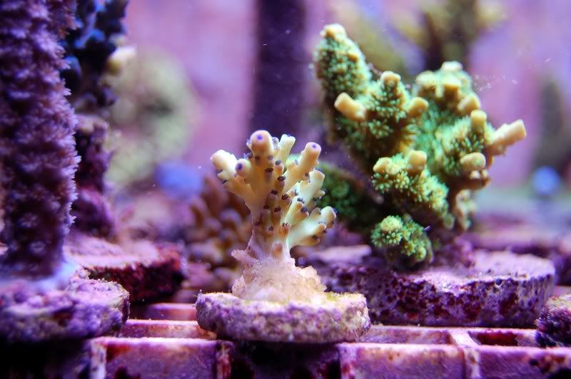 DSC_0049.jpg