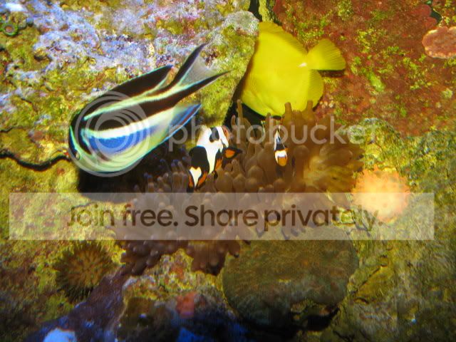 pics027.jpg