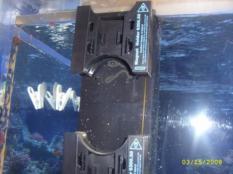 3-16-08.jpg