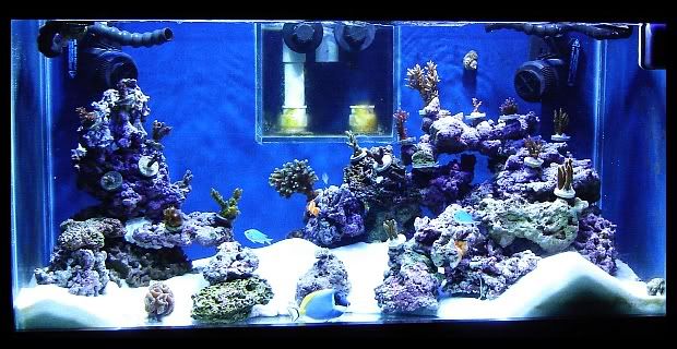 fts1-2.jpg