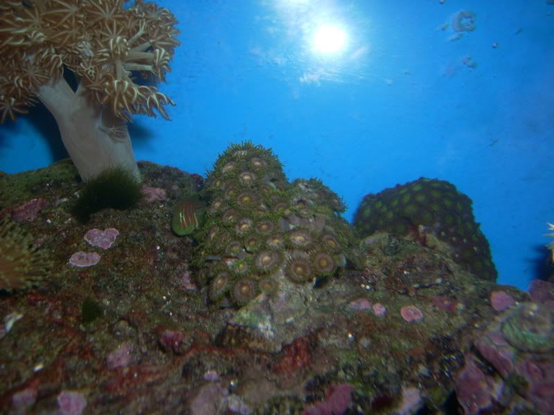 DSCN0941.jpg