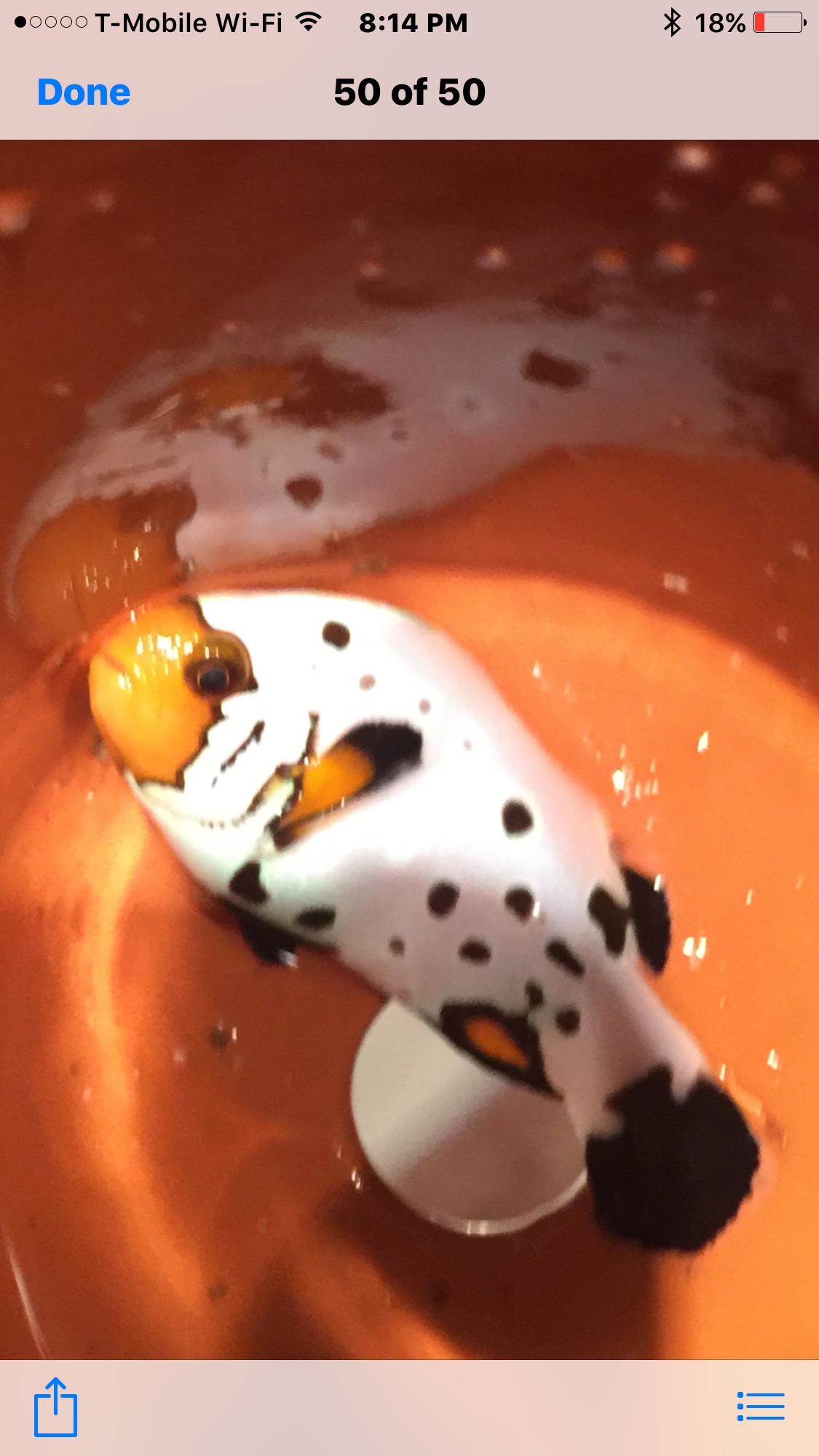 8b1f1b724afde0451c68a1fe2996b6d2.png