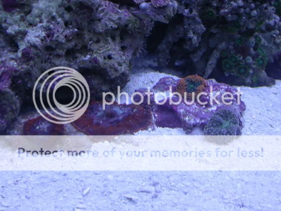 DSCN1472.jpg