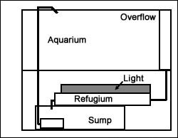 aboverefugium.jpg