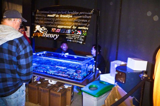 P1000990.jpg