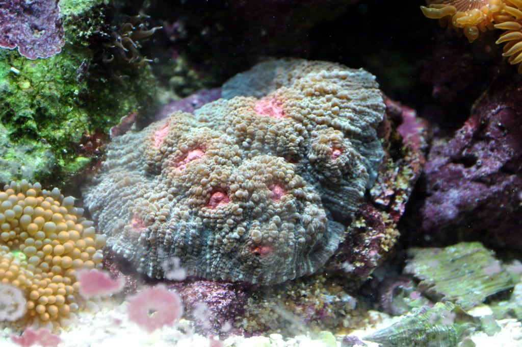 DSC_0328.jpg