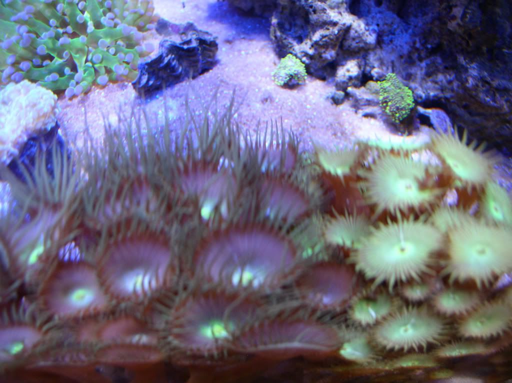 20110130_0794.jpg