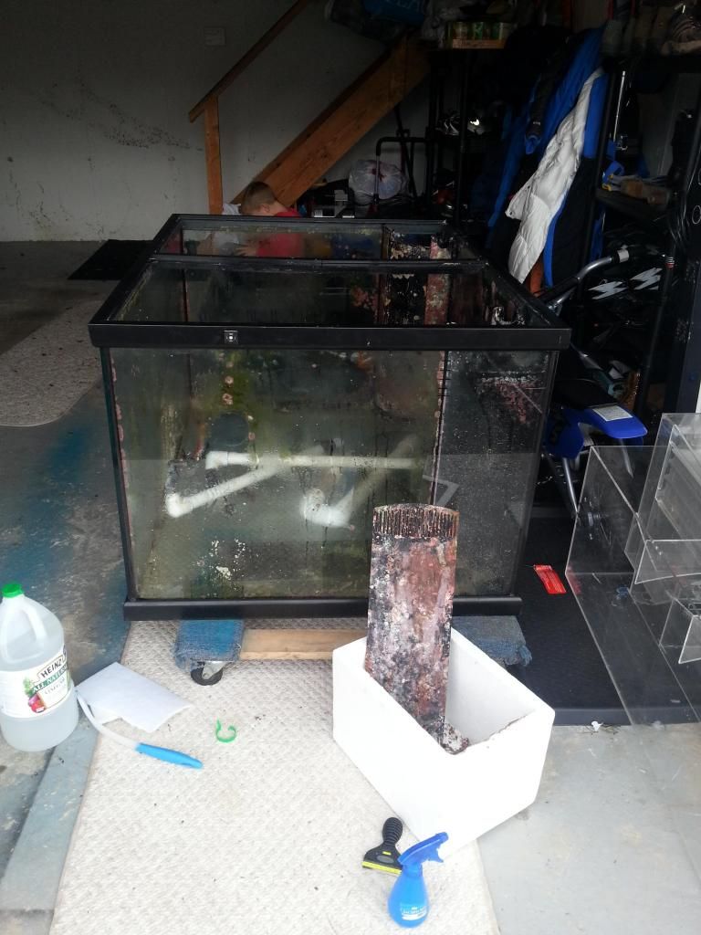 20121104_132554-1.jpg
