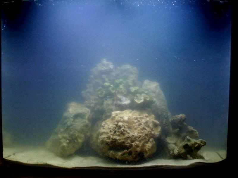 photo-4.jpg
