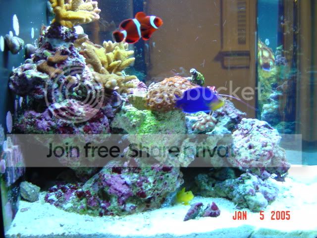 DSC00725.jpg