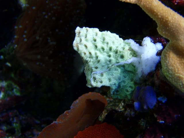 PC110007.jpg