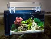 aquafuge_180.jpg
