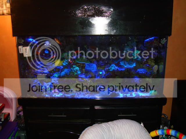 DSC02059.jpg
