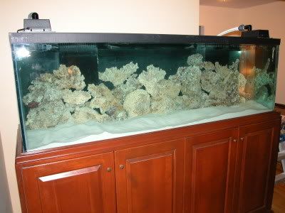 DSCN2609.jpg