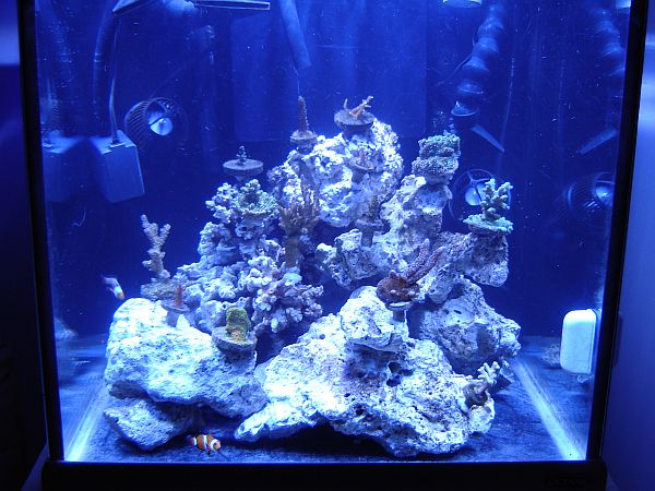 fts1-3.jpg