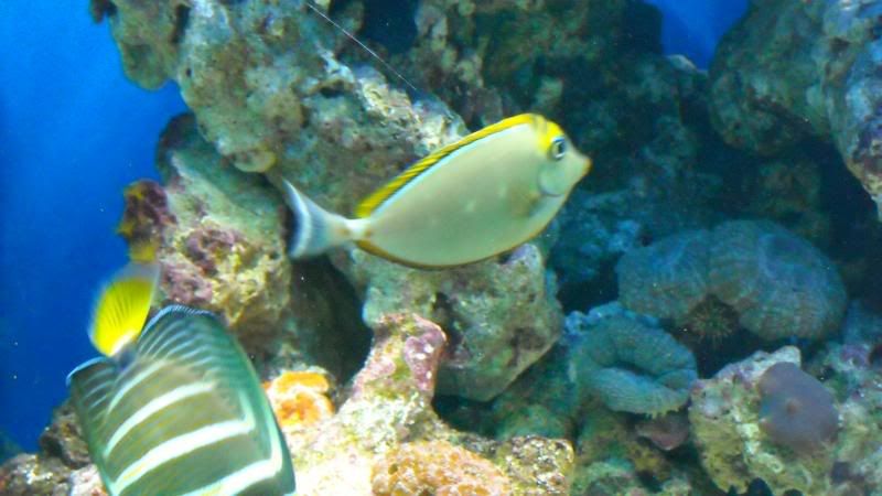 DSCN0932.jpg