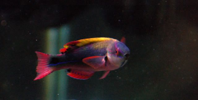 120g_Exquisite03.jpg