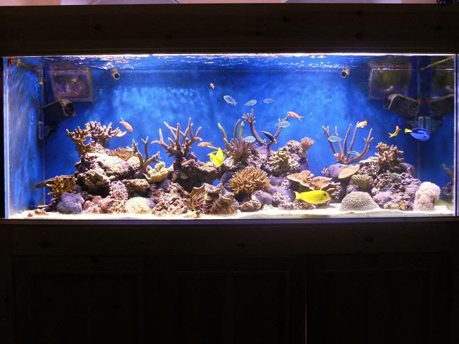 DSCF1358.jpg