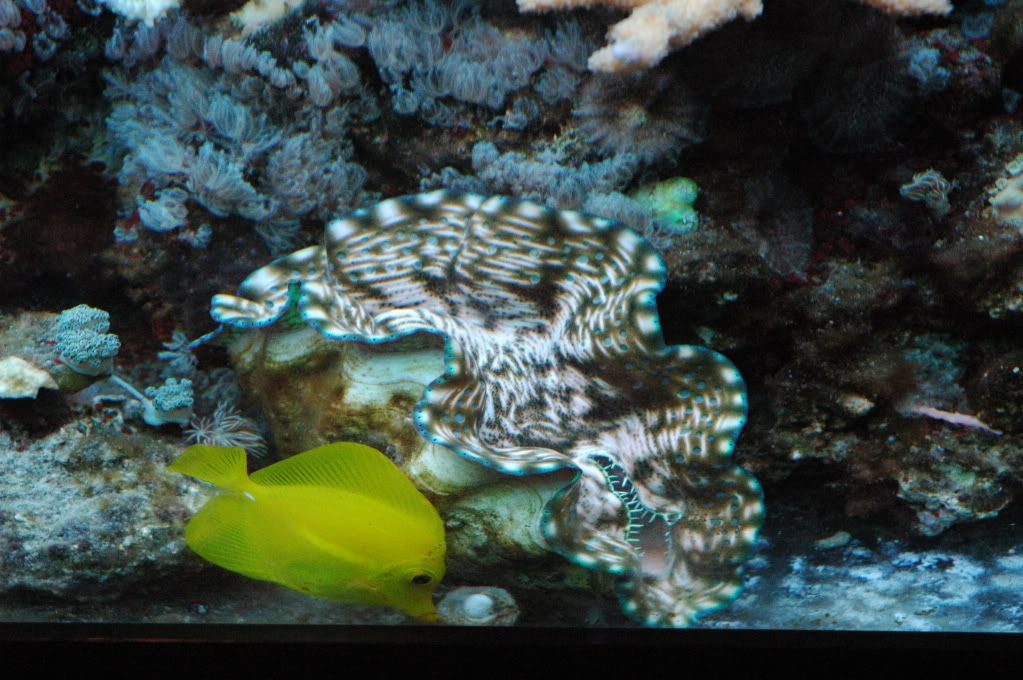 DSC_8322.jpg