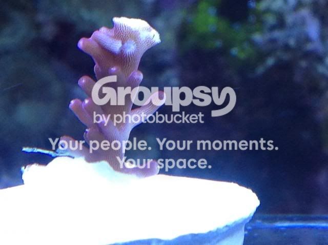 image_zps0fe09a43.jpg