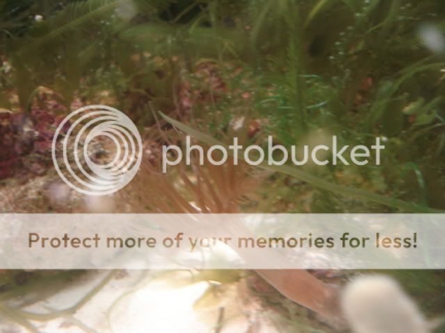 DSC08938.jpg
