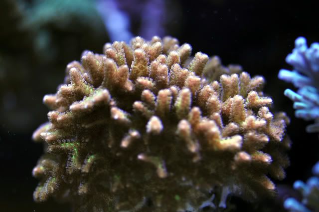 DSC_0601_edited-1.jpg