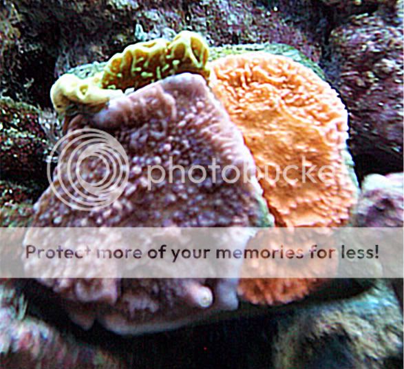 100_1821.jpg