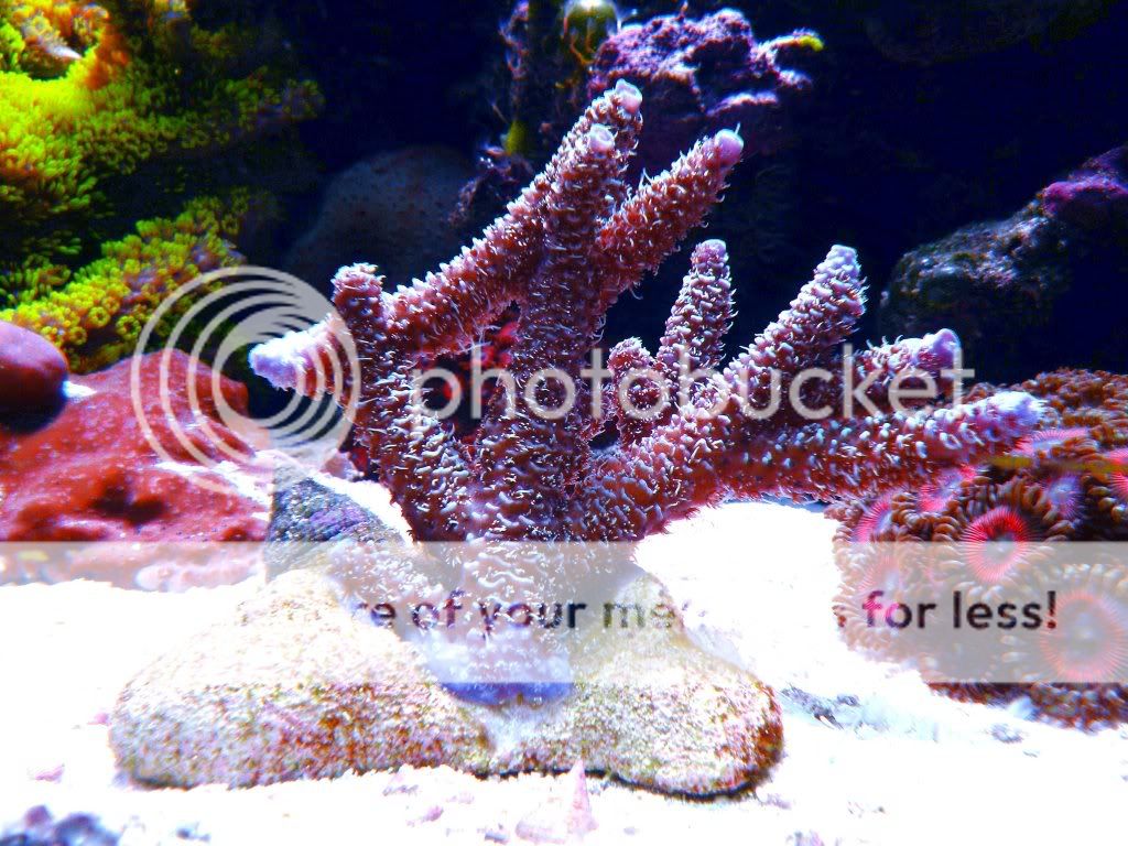 DSCN5269.jpg