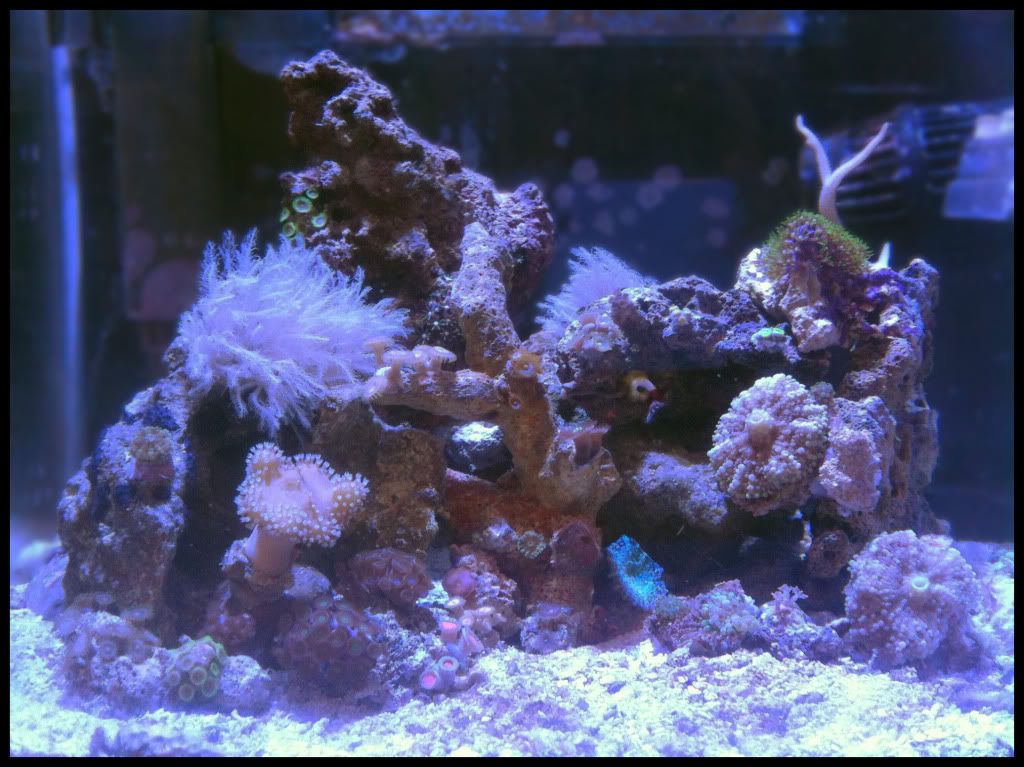 FTS_20100727.jpg