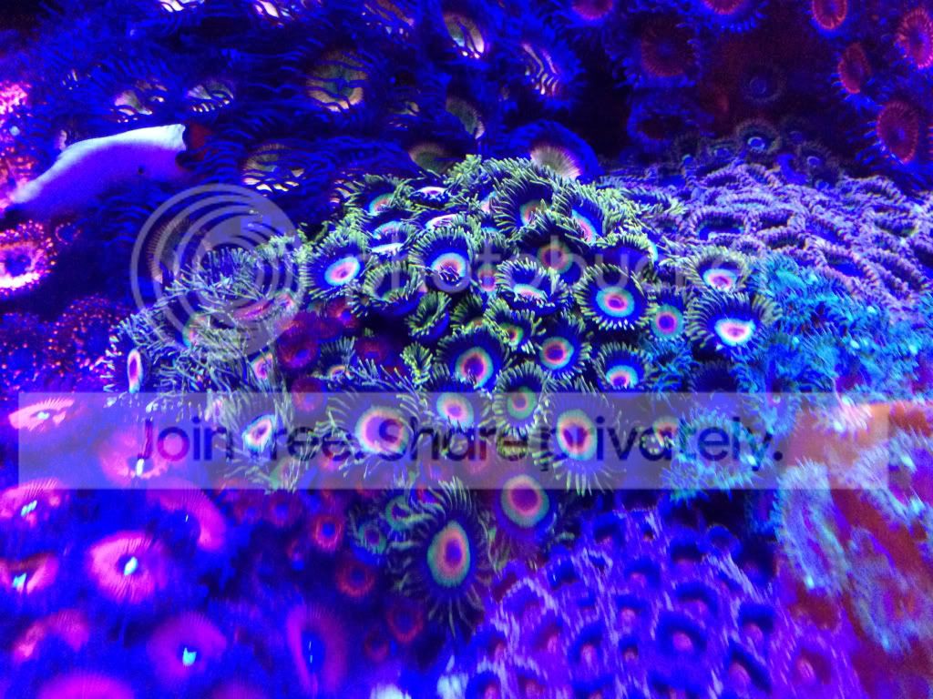 27a6e20e115aa0ec18c0f719c4353a0a_zpsf46f28fb.jpg