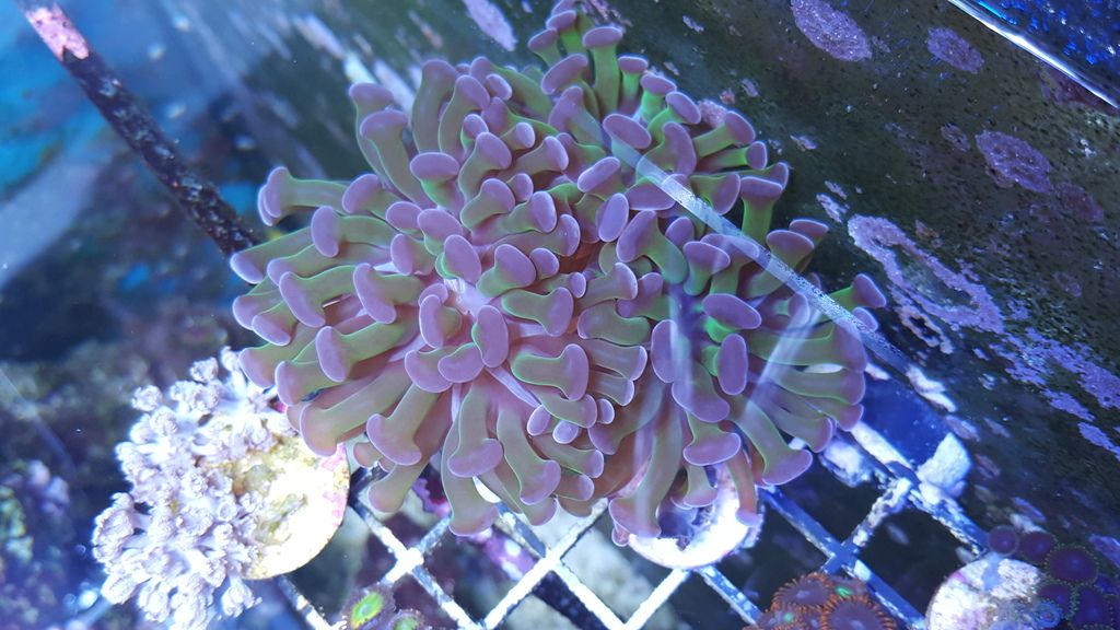 20160427_203049_zps3uyvqrkb.jpg