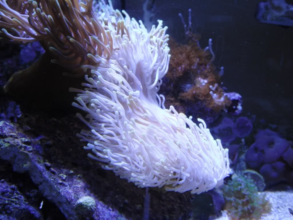 DSCF0313.jpg