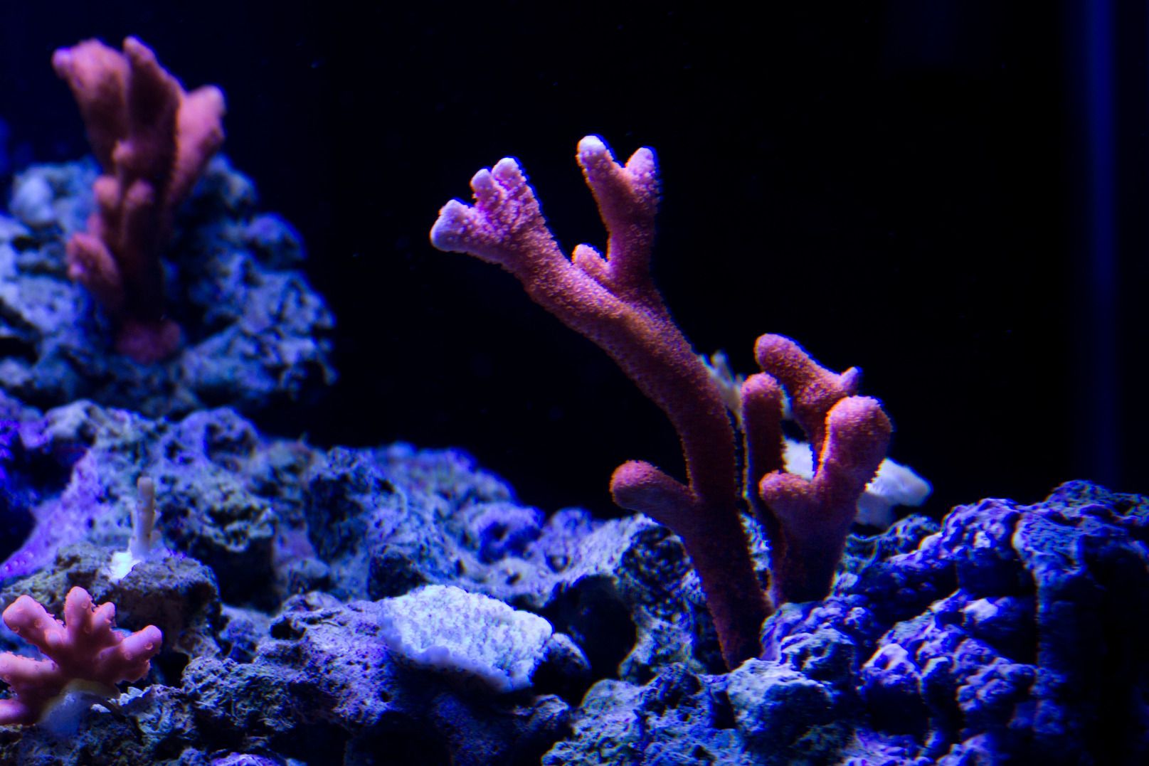 7-4-2012-3.jpg